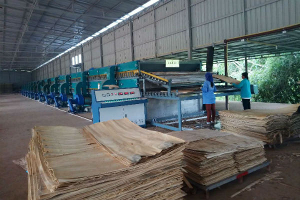 木材羞羞视频APP安卓安装下载工作现场 木材羞羞视频APP安卓安装下载工作现场