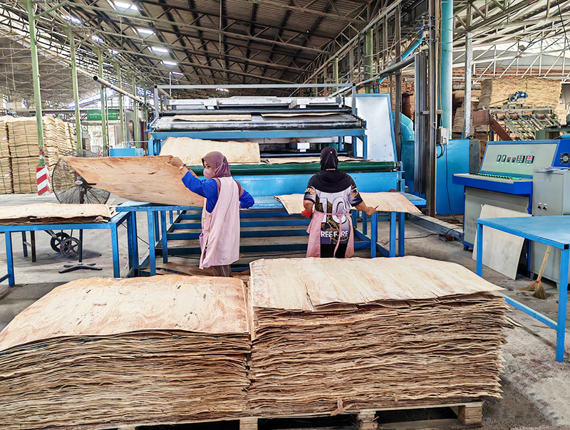 单板男女羞羞视频大全免费.jpg 单板男女羞羞视频大全免费.jpg